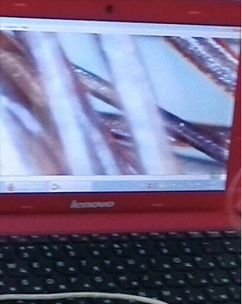 Comprobación de la cutícula